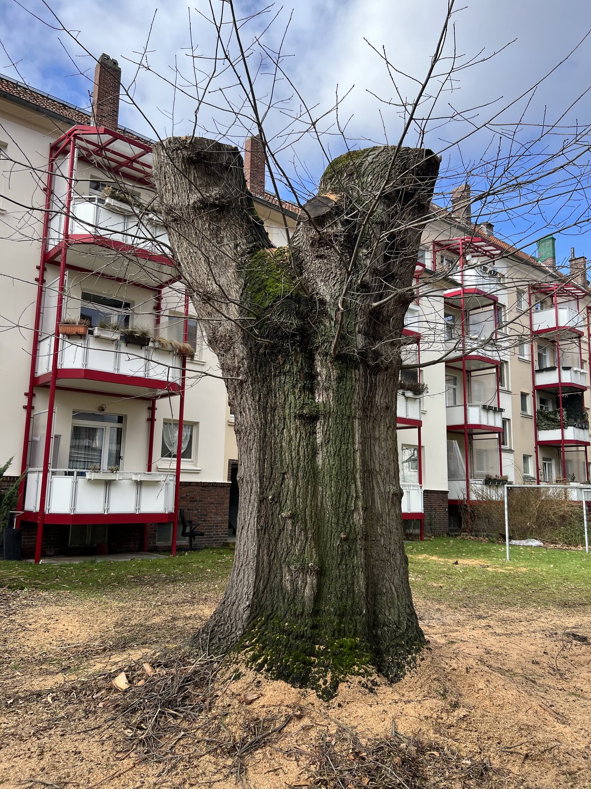 Hofroteiche aus Hannover