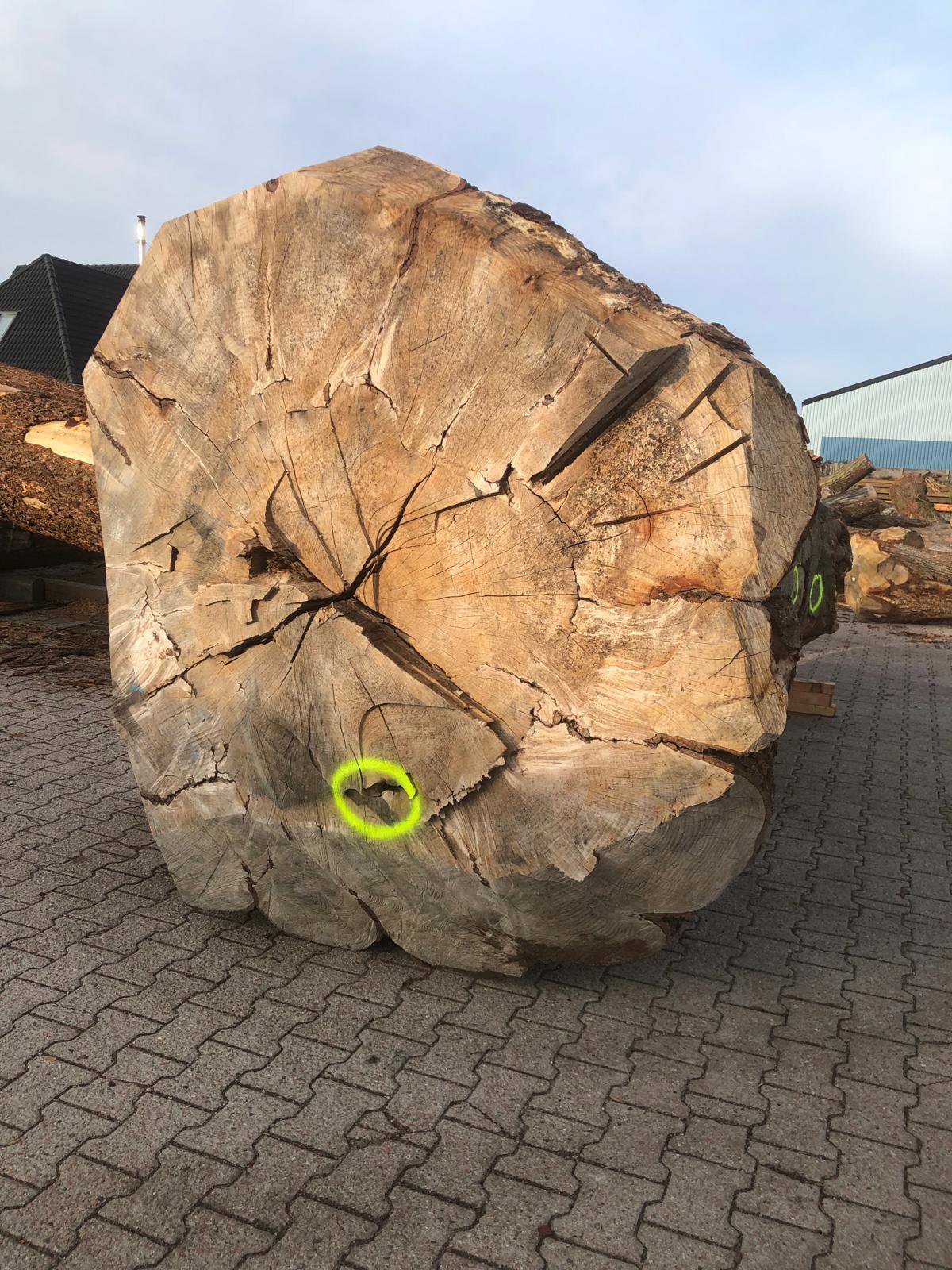Arnhemer Kriegsbuche