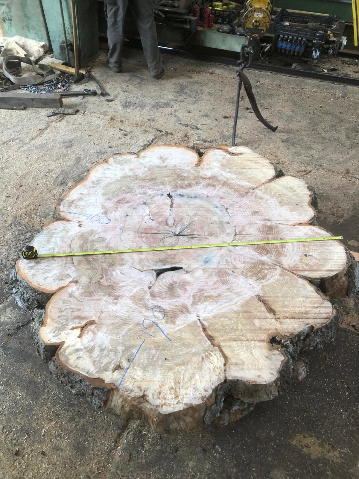 Arnhemer Kriegsbuche