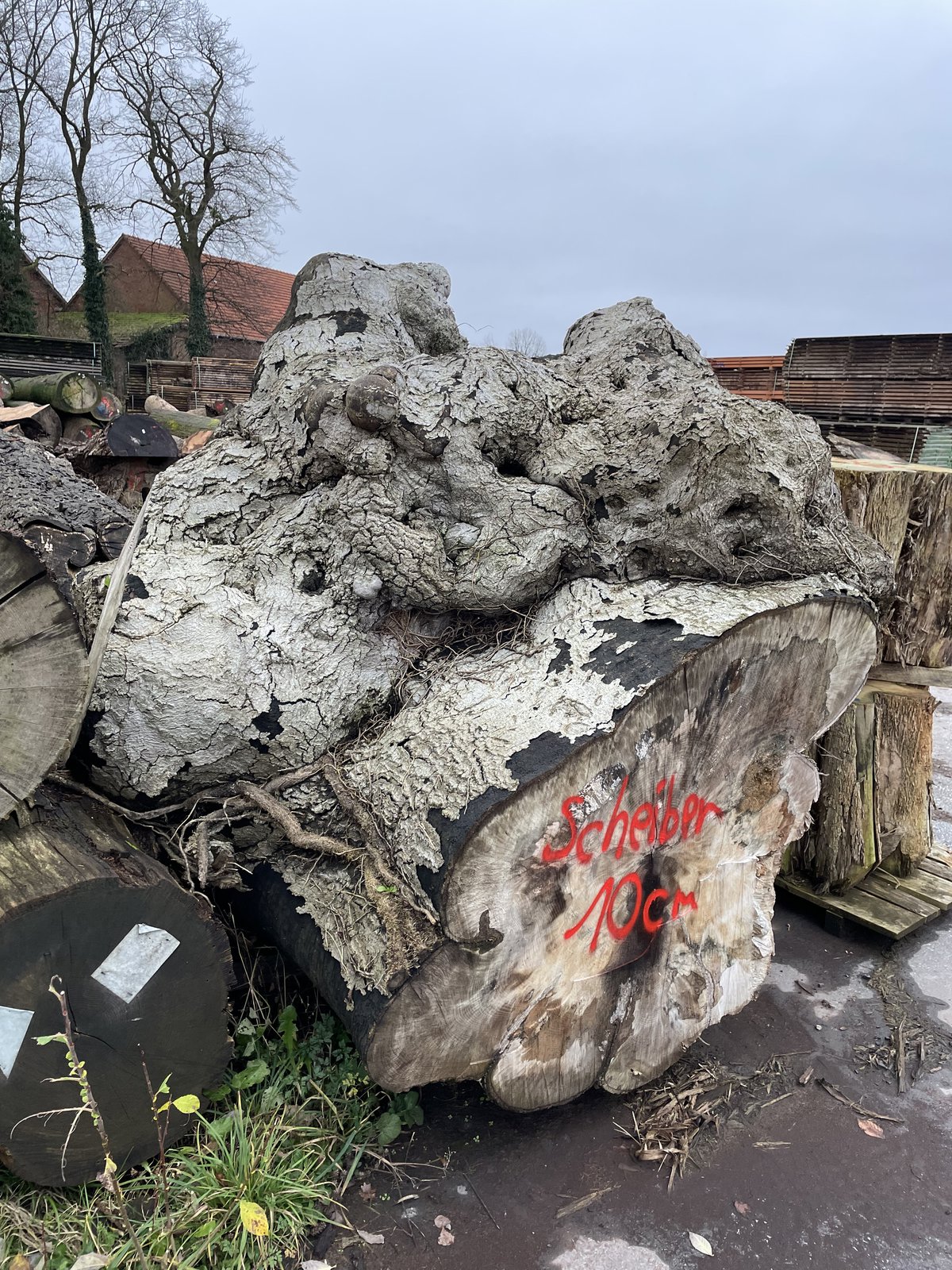 Trauerbuche vom Rittergut Eisbergen