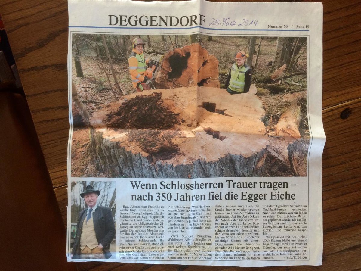 Egger Schlosseiche